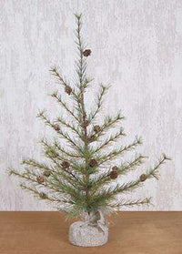 Thumbnail for Cypress Pine Tree, 2 ft. Cypress CWI+ 