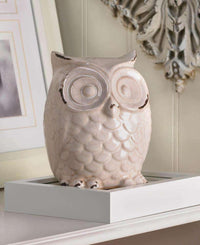 Thumbnail for Distressed Owl Figurine - The Fox Decor