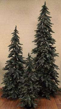 Thumbnail for Downswept Alpine Tree, 5 ft. Alpines CWI+ 