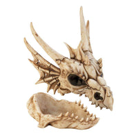 Thumbnail for Dragon Skull Box