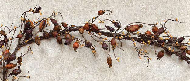 Dried Rose Hip Garland - 4 Ft. Dried Twig & Vine CWI+ 