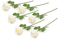 Thumbnail for Flower Open Rose Cream S/6