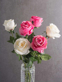 Thumbnail for Flower Open Rose Cream S/6 - The Fox Decor