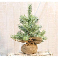 Thumbnail for Icy Rocky Mountain Pine Tree - The Fox Decor