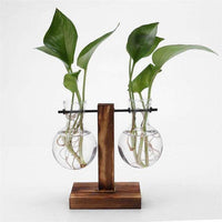 Thumbnail for Glass Wood Vase Planter Terrarium Table Desktop Hydroponics Plant - The Fox Decor