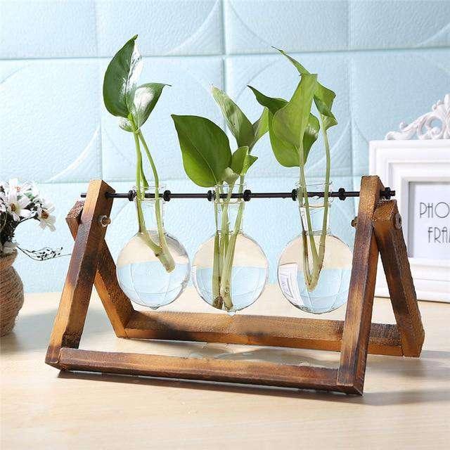 Glass Wood Vase Planter Terrarium Table Desktop Hydroponics Plant The Fox Decor 