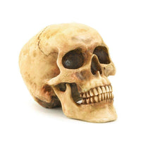 Thumbnail for Grinning Skull Figurine