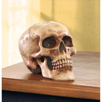 Thumbnail for Grinning Skull Figurine - The Fox Decor