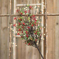 Holly & Berry Bush, 22