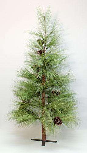 Long Needle Pine Tree 5 ft. Pine CWI+ 