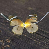 Thumbnail for Butterfly LED Lights, 20 ct - The Fox Decor