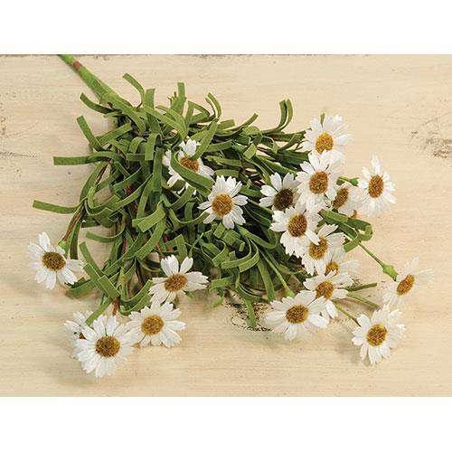 Mini Mountain Daisy Bush, Cream - The Fox Decor