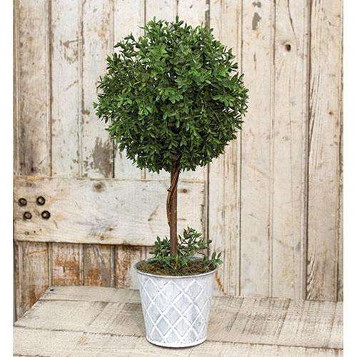 New England Boxwood Topiary, 18.25" General CWI+ 