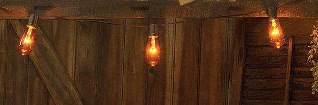 Orange Edison Light Strand, 10ct Light Strands CWI+ 