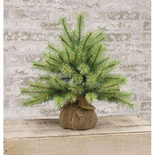 Park Pine Little Giant Tree, 15" General CWI+ 