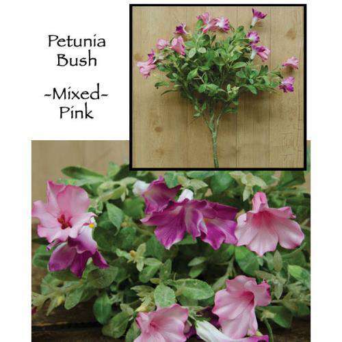'+Petunia Bush - Mixed Pink Everyday CWI+ 