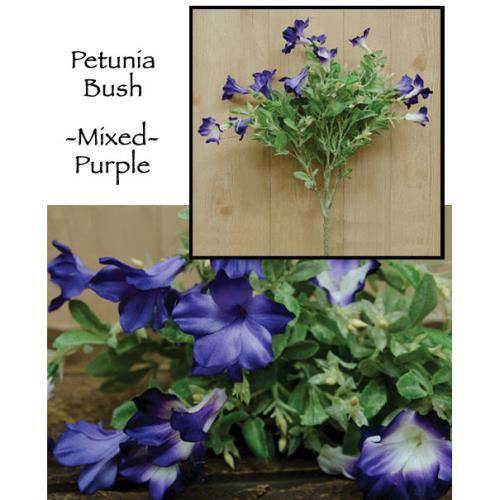 '+Petunia Bush - Purple Everyday CWI+ 