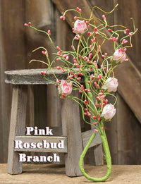 Thumbnail for Pink Rosebud Bush, 18