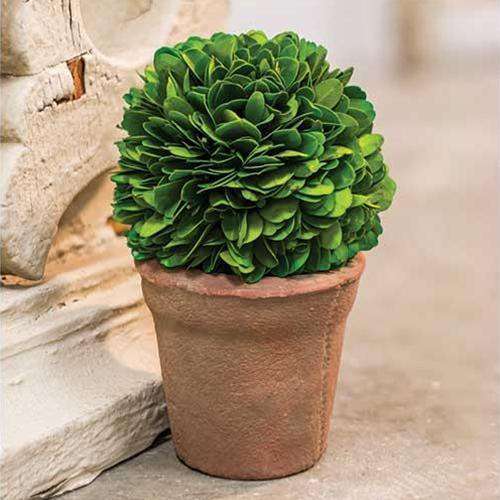 Potted Boxwood Ball, 6.5" Greenery CWI+ 