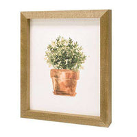 Thumbnail for Potted Herb #1 Print Framed Prints CWI+ 