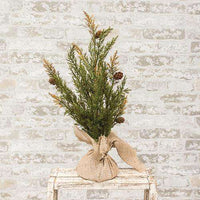 Prickly Pine Tree, Moss Green 18