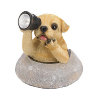 Thumbnail for Puppy With Telescope Solar Light