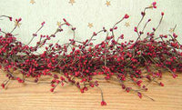 Thumbnail for Red/Burgundy Pip Garland, 4 ft. Garlands CWI+ 