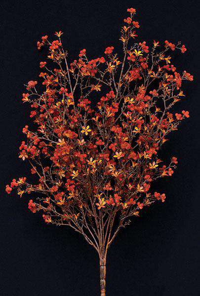 Rust Star Flower Bush, 20" Autumn Decorating CWI+ 