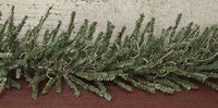 Thumbnail for Rustic German Twig Garland German Twig CWI+ 