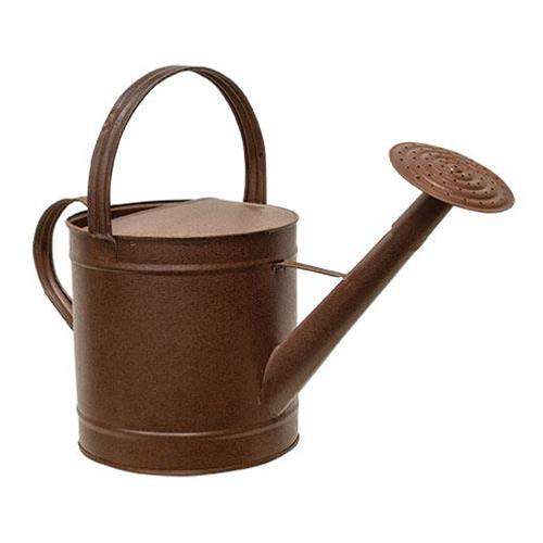 Rusty Watering Can - 12-1/2" Buckets & Containers CWI+ 