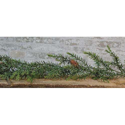 Sargent Spruce Garland w/Cones Florals CWI+ 