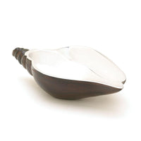 Thumbnail for Sea Conch Decorative Dish