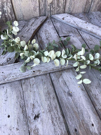 Thumbnail for Silver Drop Eucalyptus Garland Greenery CWI+ 