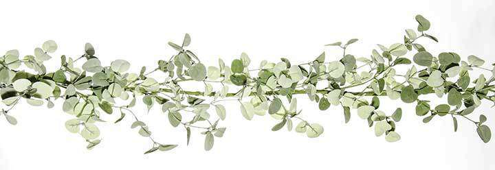 Silver Drop Eucalyptus Garland Greenery CWI+ 