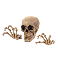 Thumbnail for Skeleton Wall Decor Set