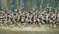 Snow White Pip Garland, 4 ft. - The Fox Decor