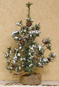 Thumbnail for Snowy Brush Pine Tree, 12