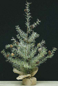 Thumbnail for Snowy Cypress Pine Tree, 2 ft. Cypress CWI+ 