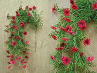 Star Daisy Hanging Vine - Pink - The Fox Decor